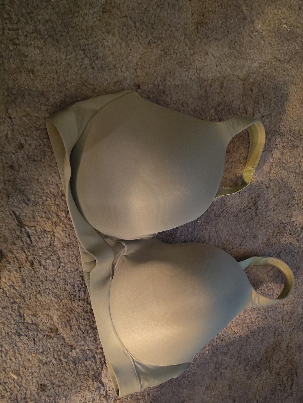 Cacique Olive Smooth Molded T-Shirt Bra 40DD